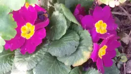 20151031_130302.webp