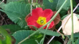 20151031_130314.webp