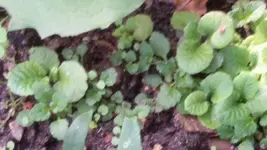 20151031_130328.webp
