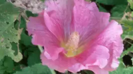 20151031_130344.webp