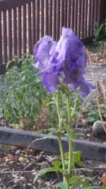 20151031_130356.webp