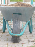 P1550596 - Kopie.webp
