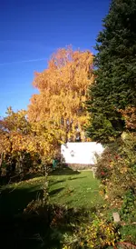 IMG_20151031_180629.webp