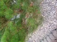 img_0761.jpg