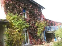 004.webp