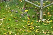 DSCF4250 (2).webp