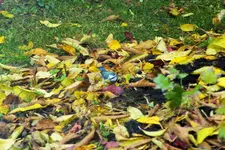 DSCF4255 (2).webp
