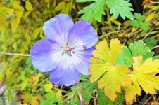 DSCF4249 (2).webp