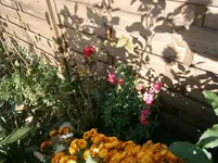PB010832.webp