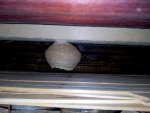 IMG_20151101_141014.jpg