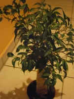 PB010844.webp