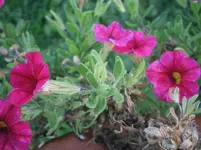 PB010841.webp