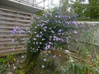 P1550311.webp