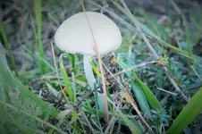 DSCF4371 (2).jpg