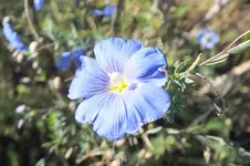 DSCF4348.webp