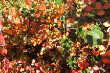 DSCF4324.webp