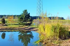 DSCF4391 (3).webp