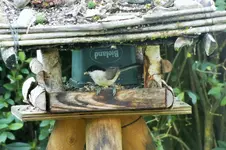 DSCF4271 (2).webp