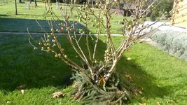 20151102_093834.webp