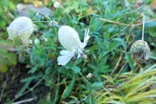 DSCF4339 (2).webp