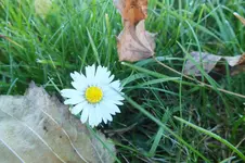 DSCF4388.webp