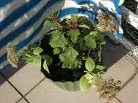 DSCF9370.webp DSCF9370.webp
