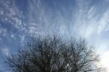 Himmel föhn nuss 2.11.+++.webp