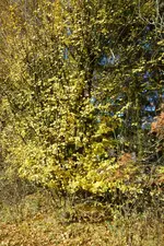 P1080220.webp