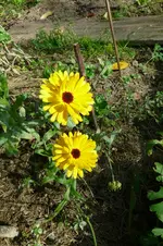 P1080230.webp