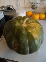 2015-10-31 Kürbis1.webp