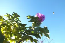 DSCF4343.webp