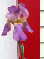 IMG_6799v.webp