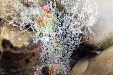 DSCF4402 (2).webp