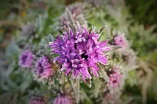 DSCF4408 (2).webp