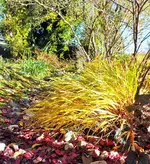 DSCF4315 (3).webp