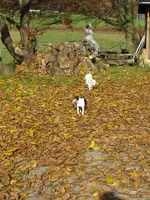 002_600x800.webp