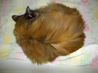 IMGP2766.webp