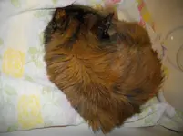 IMGP2767.webp