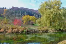 DSCF4434 (2).webp