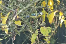 DSCF4276 (2).webp