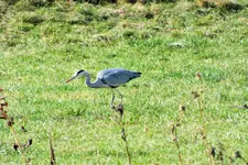 DSCF4439 (2).webp