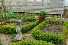 DSCF1606.webp