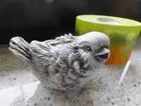 DSCF9058.webp