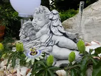 DSCF9126.webp