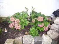 100_1861.webp