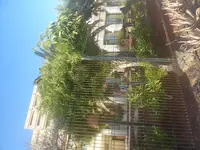 P1010519.webp
