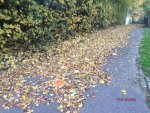 G_Feldweg_Herbst Laubfall__02.11..2015_mr.ditschy.jpg