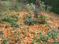 002.webp