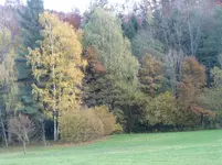 014.webp