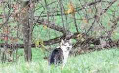 IMG_5666-1.webp